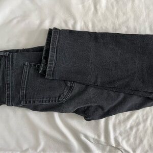 Everlane Charcoal Denim Pants